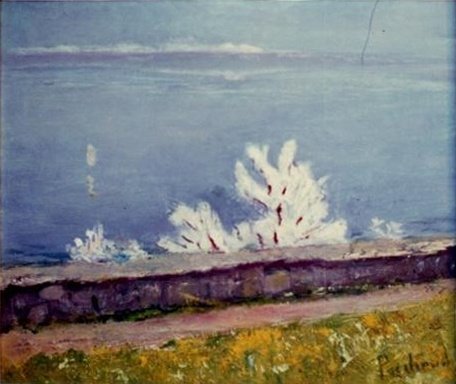 Vue plongeante sur le Léman