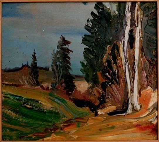 Le ruisseau des Bossons et Riaux