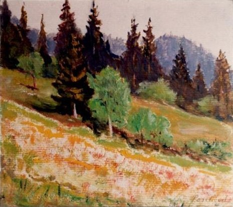 Pré maigre au-dessus du Mont
