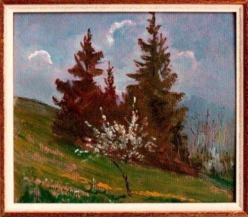 Pommier fleuri au Mont
