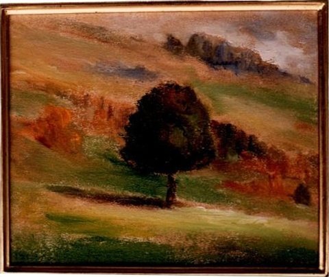 L'arbre solitaire des Preyses