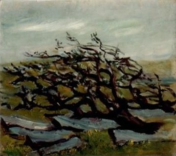 Après la tempête