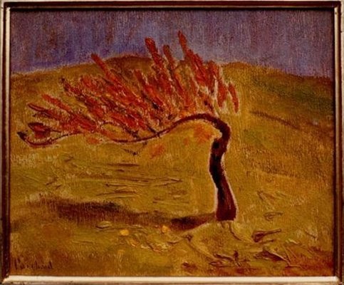 L'arbre penché