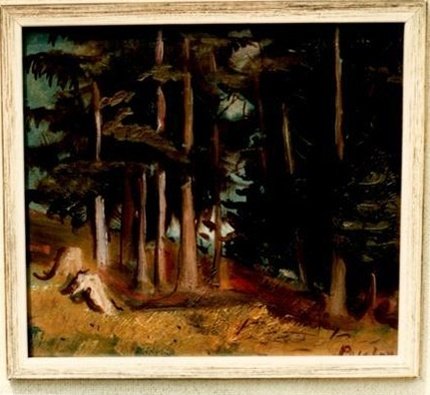 Sous-bois