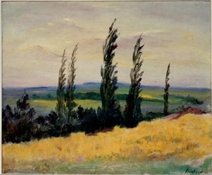 Campagne genevoise (derrière la Salève)