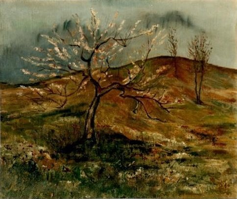 le cerisier du Riaux