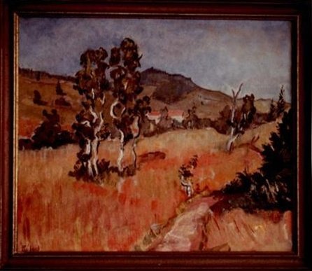 Environs de Château-d'Oex