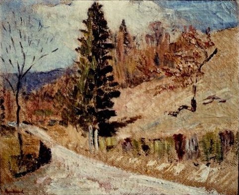 Le sapin au bord du chemin