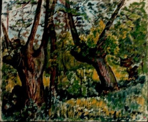 Le saule