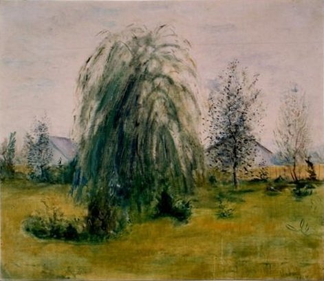 Le Génie aveugle saule pleureur