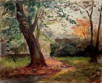 Le gros arbre de la propriété de Richmont à Genève