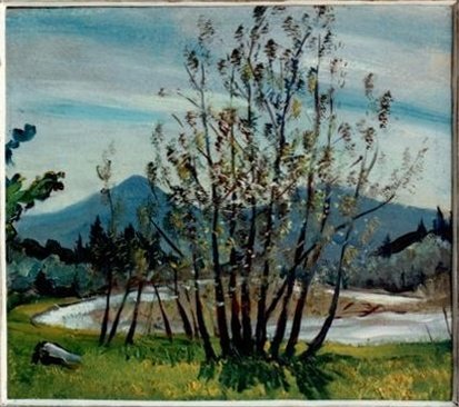 Buisson et Sarine