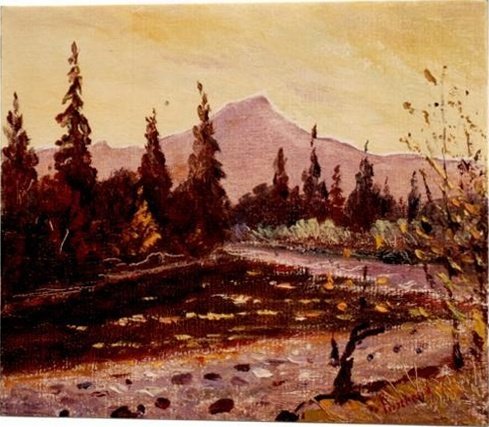 Sarine au coucher de soleil