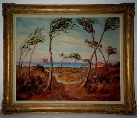 Majorque grands arbres