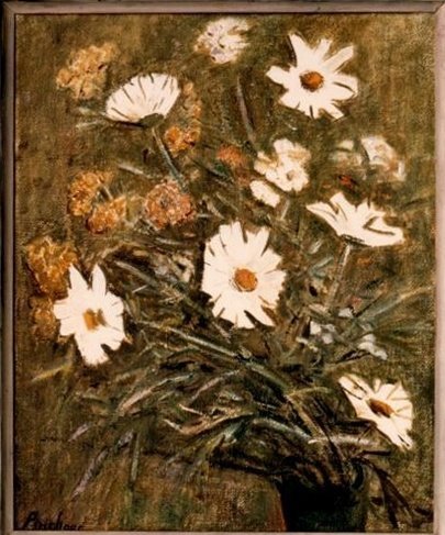 Grandes marguerites