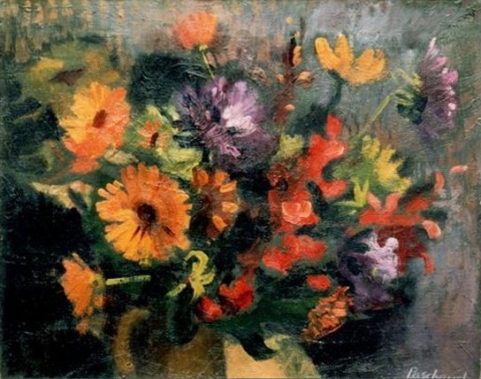 Soucis et reines-marguerites