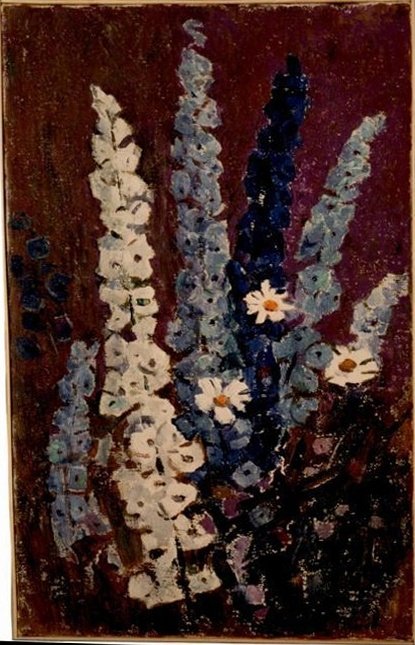 Delphiniums