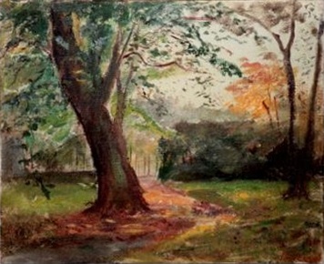 Le gros arbre de la propriété de Richmont à Genève
